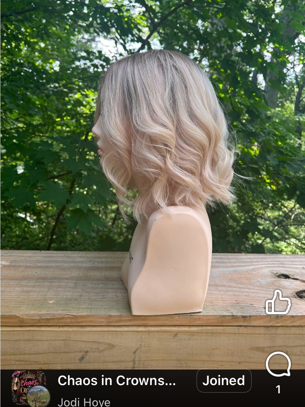 $400 -  Human (EURO) Hair Sheitel / Wig - Picture 2 of 12